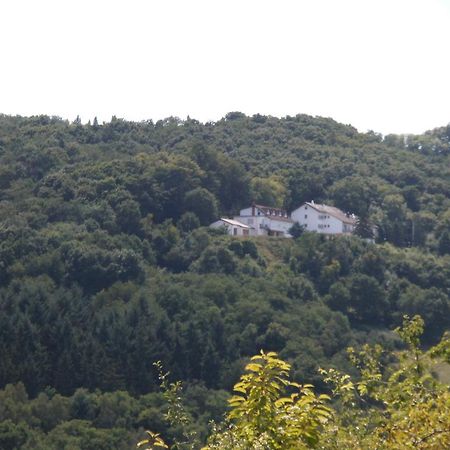 Burg-Hotel Obermoschel Экстерьер фото