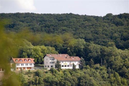 Burg-Hotel Obermoschel Экстерьер фото