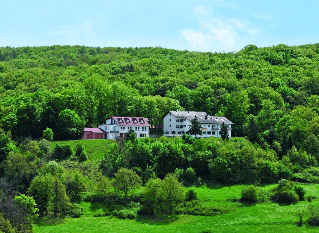 Burg-Hotel Obermoschel Экстерьер фото