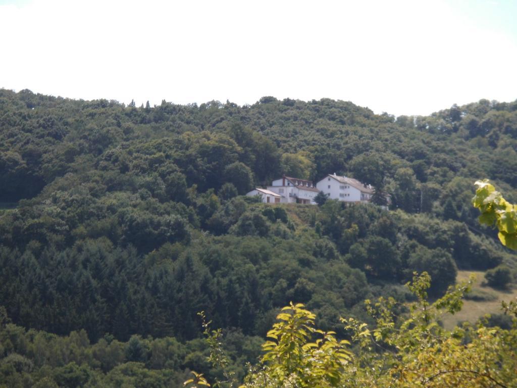 Burg-Hotel Obermoschel Экстерьер фото